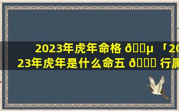 2023年虎年命格 🐵 「2023年虎年是什么命五 🐋 行属什么」
